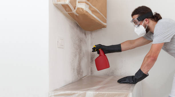 Professional Attic Mold Remediation technician working in Shamokin, PA