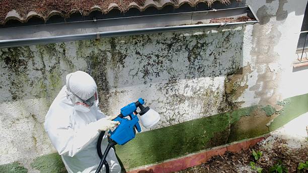 Top rated local Attic Mold Remediation specialists in Shamokin, PA